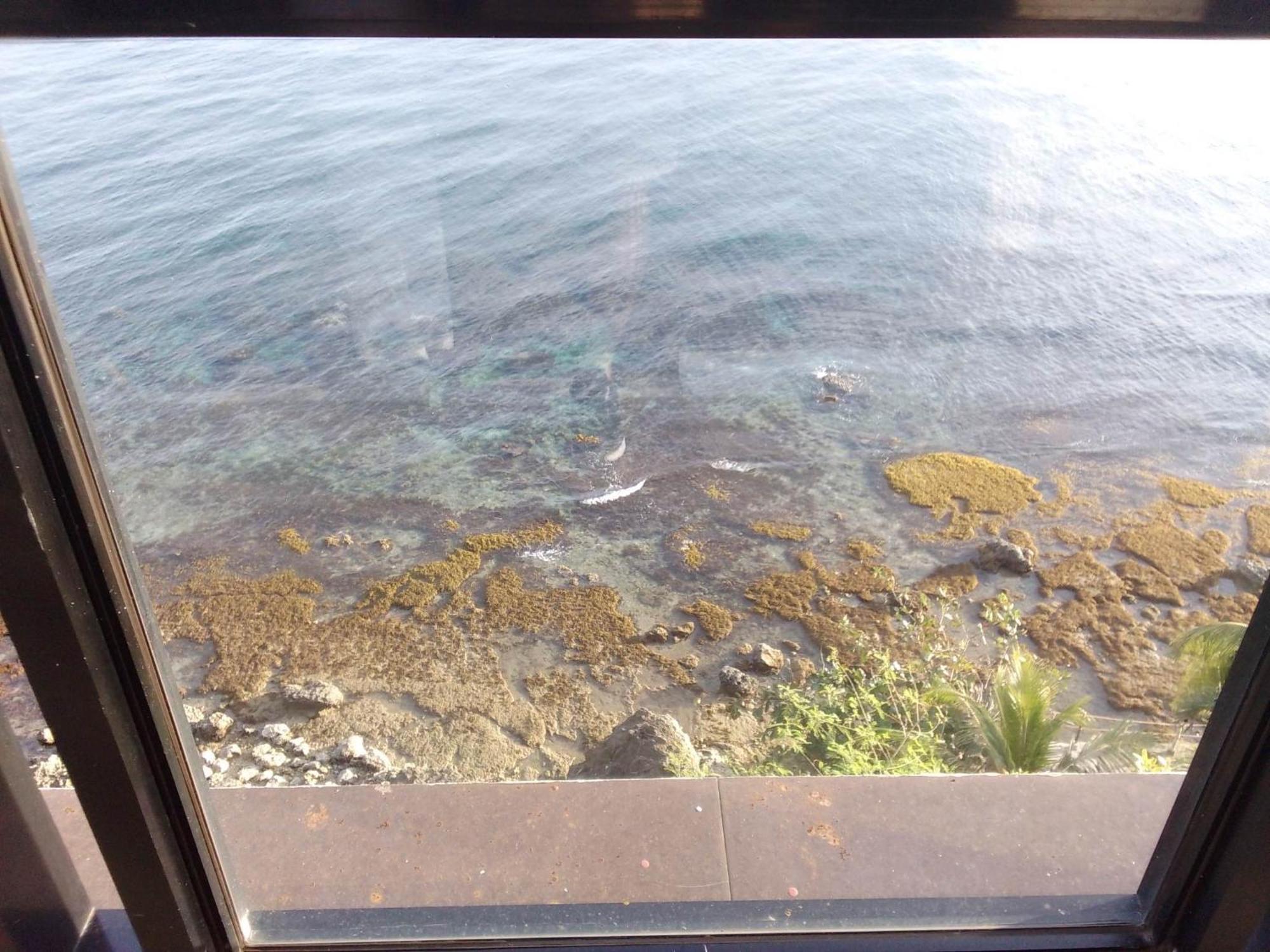 Cliff Haven Resort Jagna Exterior foto